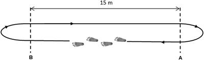 Intra-Subject Consistency during Locomotion: Similarity in Shared and Subject-Specific Muscle Synergies